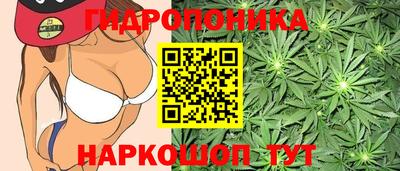 крисы Ливны