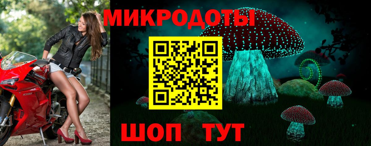 Псилоцибиновые грибы Psilocybe Уварово