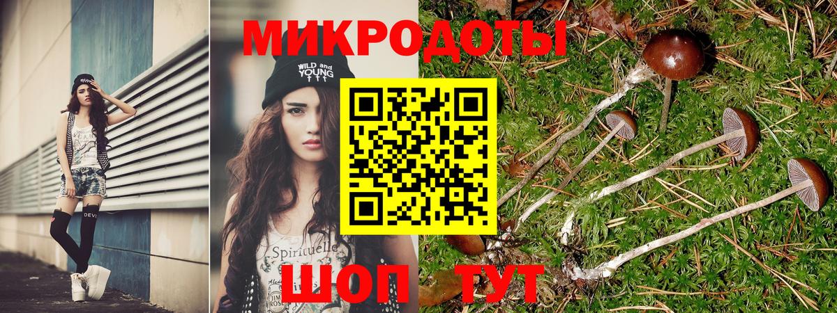 продажа наркотиков  Псилоцибиновые грибы Psilocybe  Уварово  Вход с VPN  Псилоцибиновые грибы мухоморы 